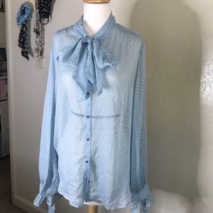 Banana Republic blue blouse.